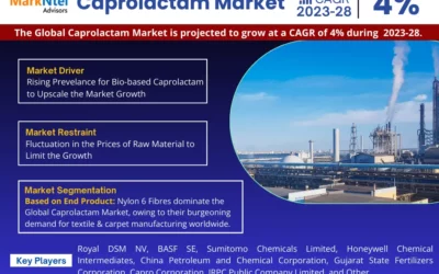 Caprolactam Market