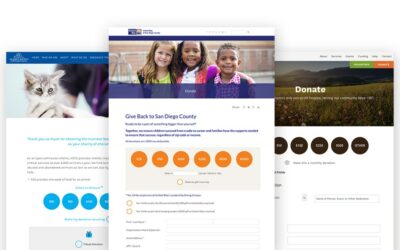 Best 5 Practices to Create a Donation Page (With Examples)