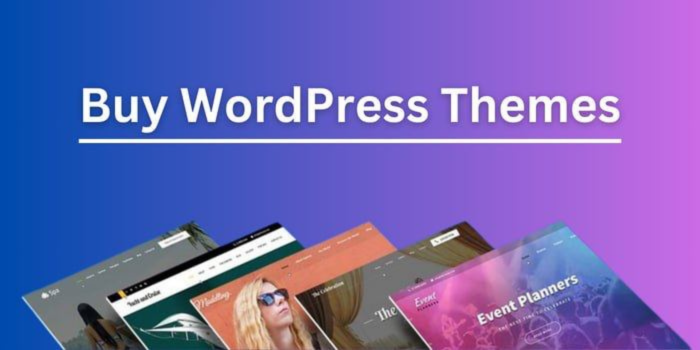 Buy WordPress Themes