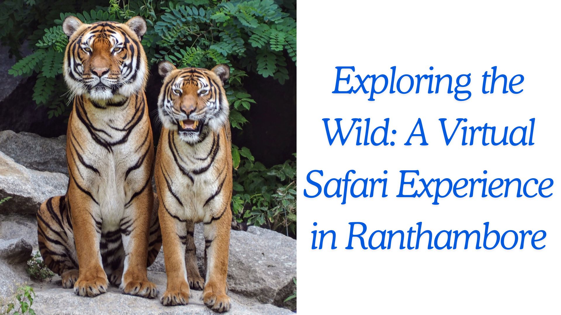 Exploring the Wild: A Virtual Safari Experience in Ranthambore