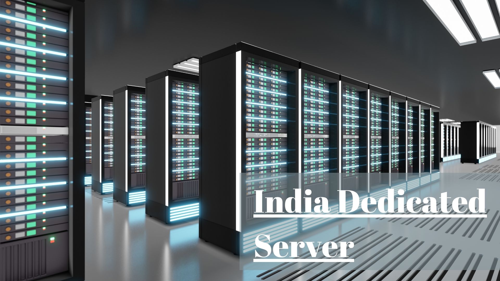 India Dedicated Server: Tailored for High-Traffic Websites