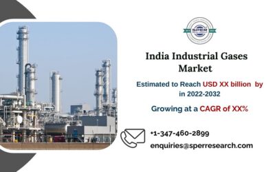 India Industrial Gases Market 1