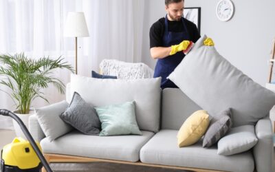 Professional Sofa Cleaning: A Comprehensive Guide for Abbotsbury Residents