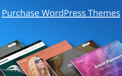 Purchase WordPress Themes