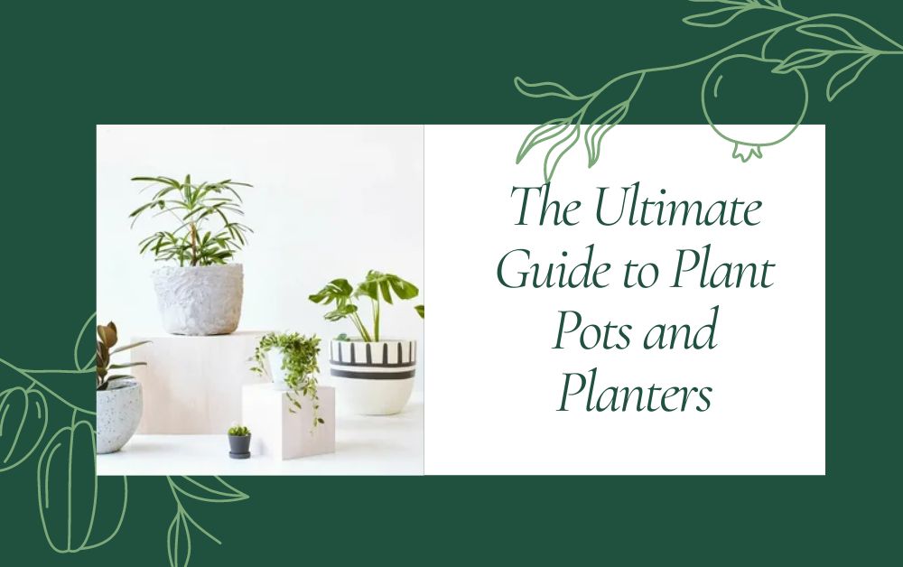 Plant Pots and Planters