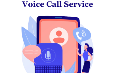 bulk voice call service provider