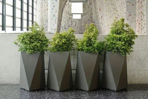 Plant Pots and Planters