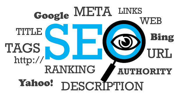 seo services calgary