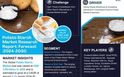 Potato Starch Market