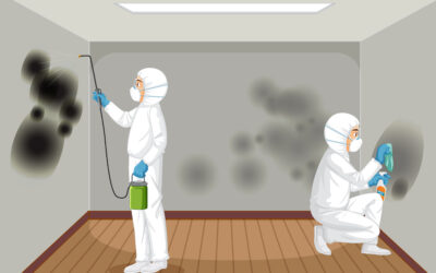 mold inspection columbus