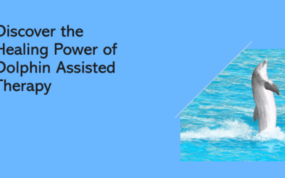 Discover the Healing Power of Dolphin Assisted Therapy