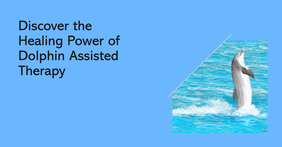 Discover the Healing Power of Dolphin Assisted Therapy