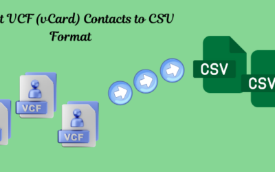 Export VCF (vCard) Contacts to CSV Format