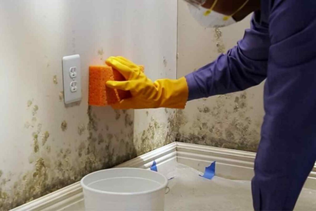 How Can Professionals Help You Stop Bathroom Mold?