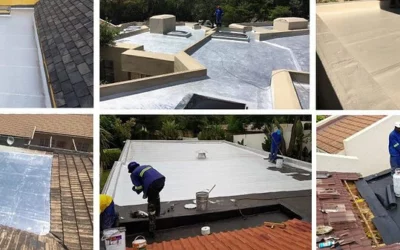 Roof Waterproofing Specialist