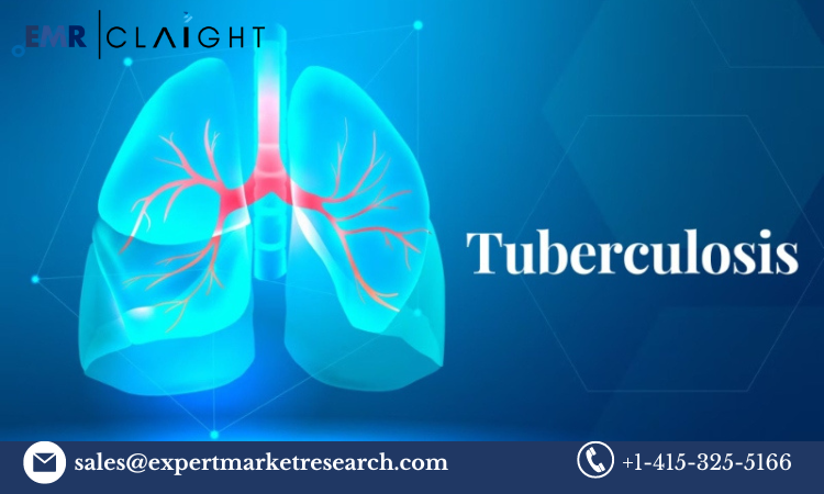 Tuberculosis Treatment Market