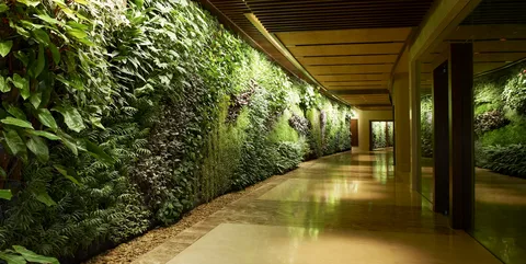 How Artificial Green Walls Can Transform Your Space