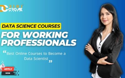 Online Data Science with AI program