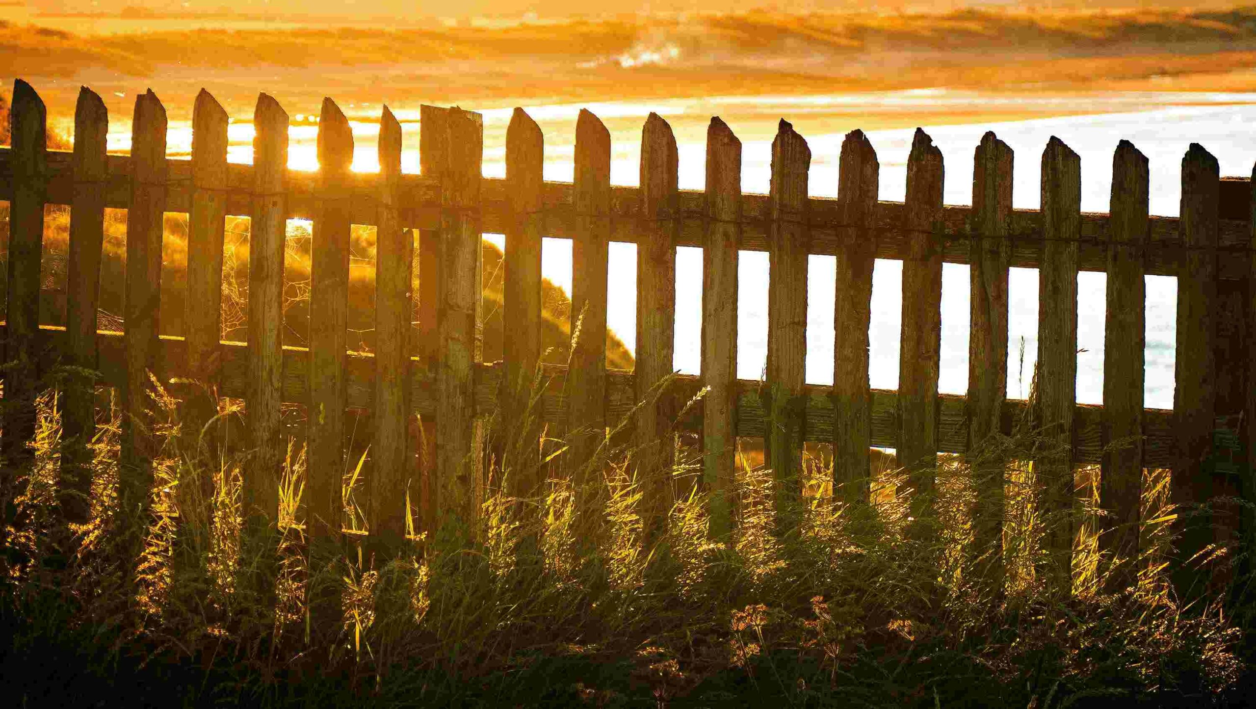 vinyl fence toronto