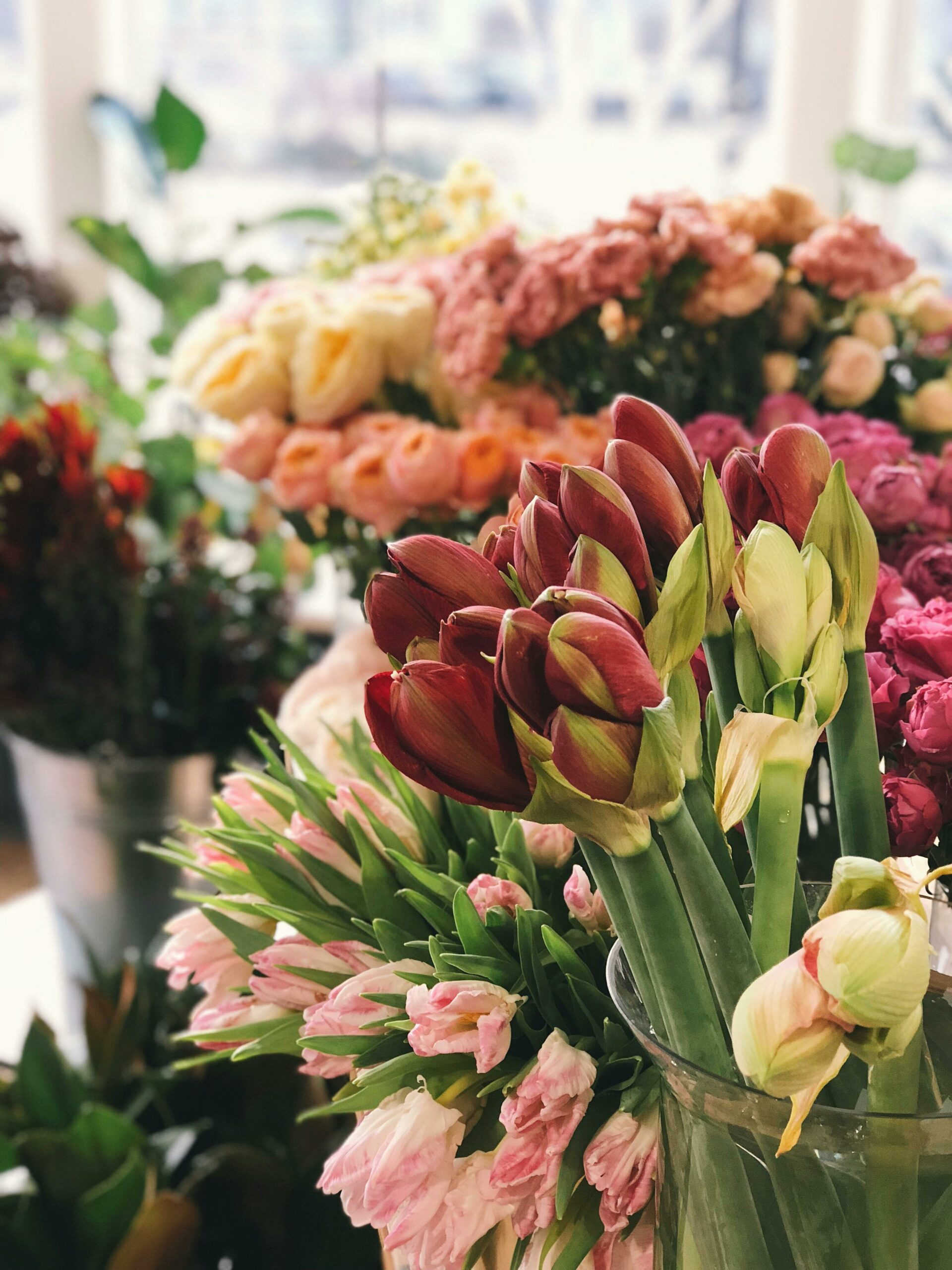 Flowers Shops