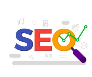 top seo service providers in vaishali