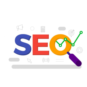 top seo service providers in vaishali