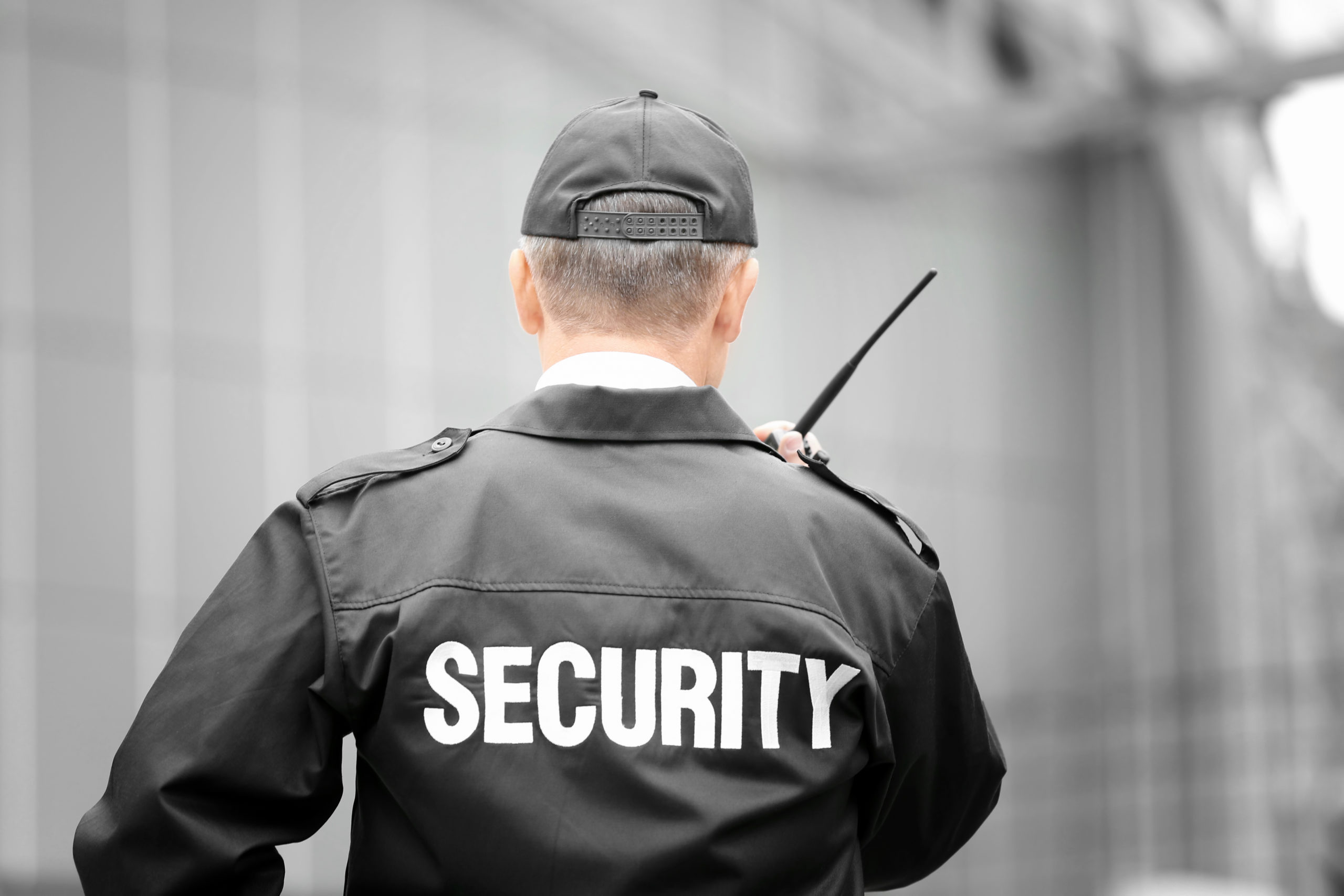The Role and Importance of Licensed Security Guards