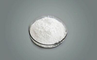 Dicalcium Phosphate Manufacturing Plant