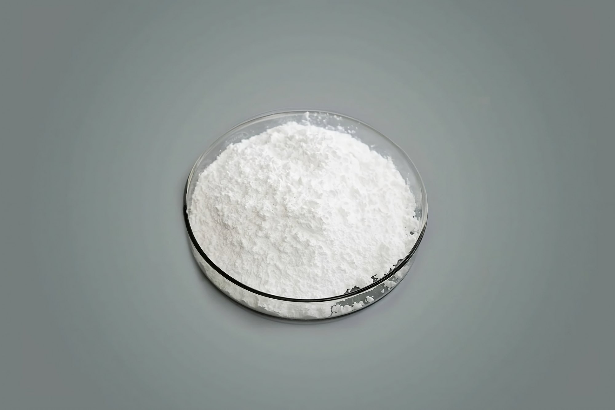 Dicalcium Phosphate Manufacturing Plant