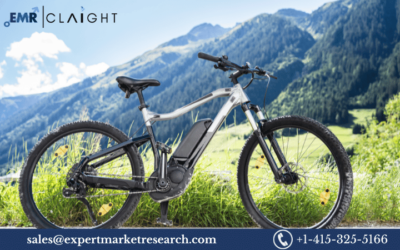 E-bike Market