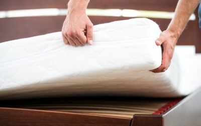 How To Get Rid Of Pet Smell Out Of A Mattress