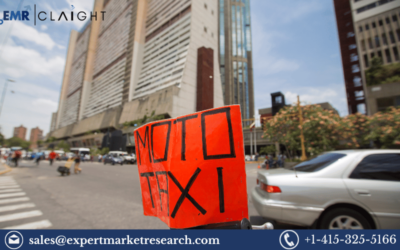 Moto Taxi Service Market