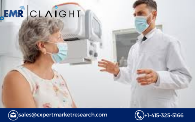 Non-Hodgkin's Lymphoma Treatment Market