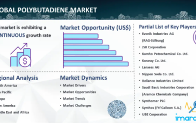 Polybutadiene Market