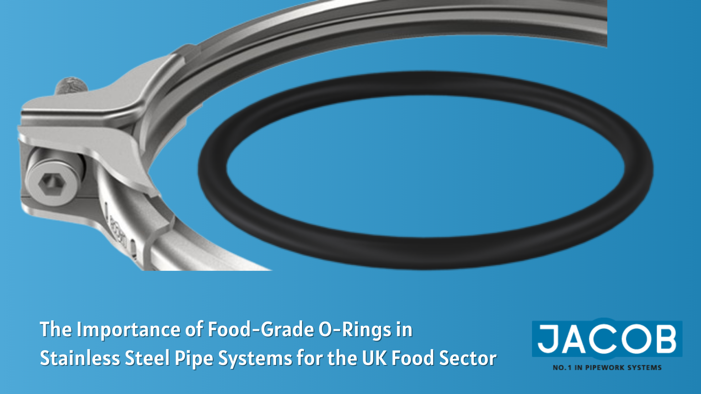 food grade o rings