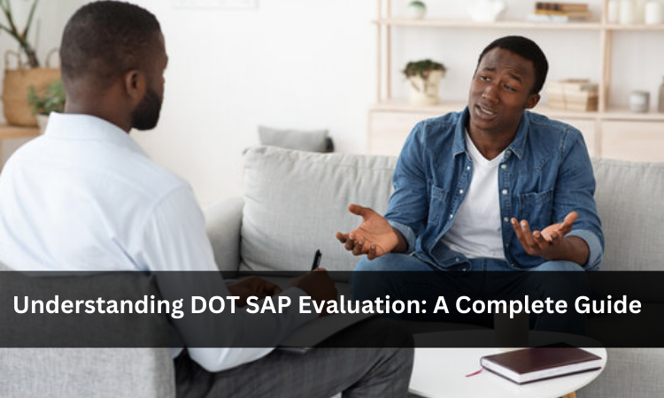 DOT SAP Evaluation