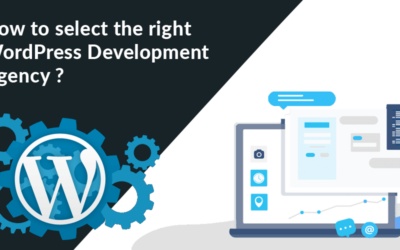 WordPress Development Agency