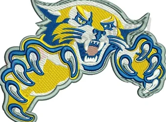 Introduction to Embroidery Digitizing Services