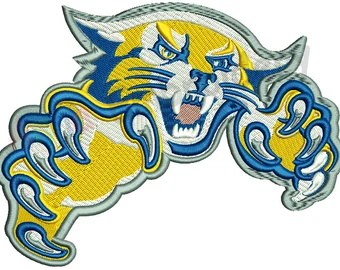 Introduction to Embroidery Digitizing Services
