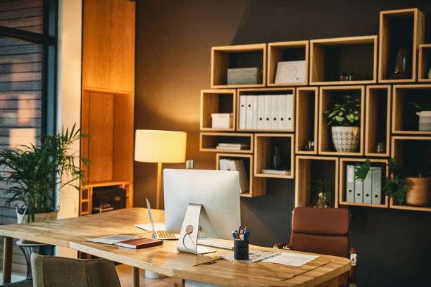 Custom Shelves and Desks