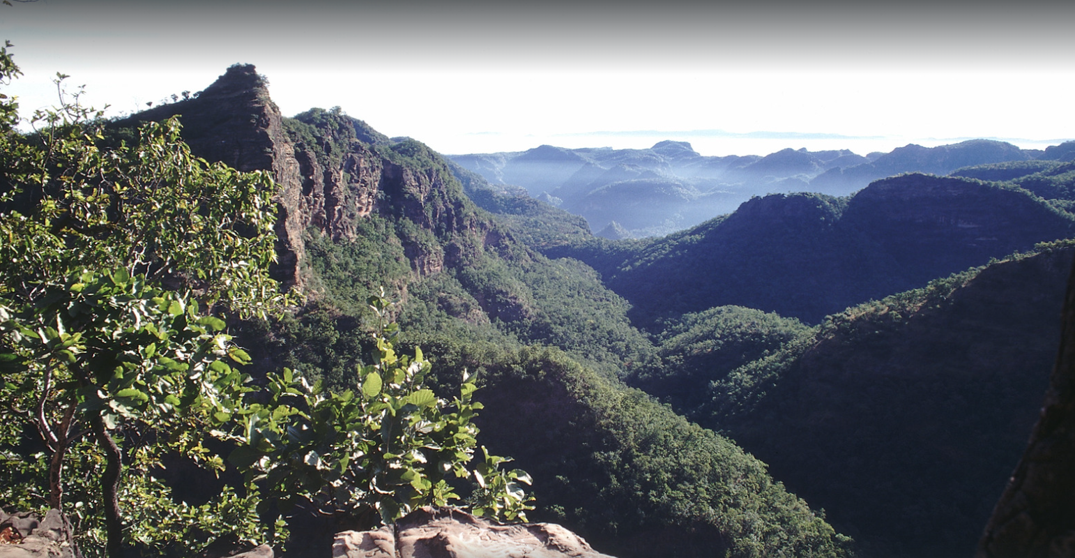Exploring Offbeat Attractions in Pachmarhi and Madhai: Hidden Gems and Local Secrets