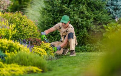 Landscaping Company in Dubai | KABCO Group