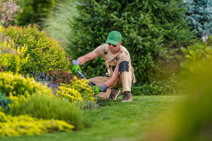 Landscaping Company in Dubai | KABCO Group