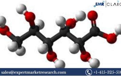 Glucaric Acid Market