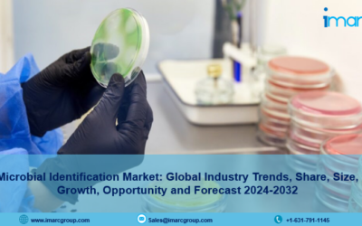 Microbial Identification Market