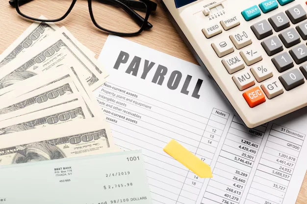 Payroll Software for Accountants