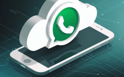 WhatsApp Business API Provider