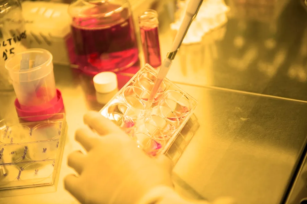 biochemical assay