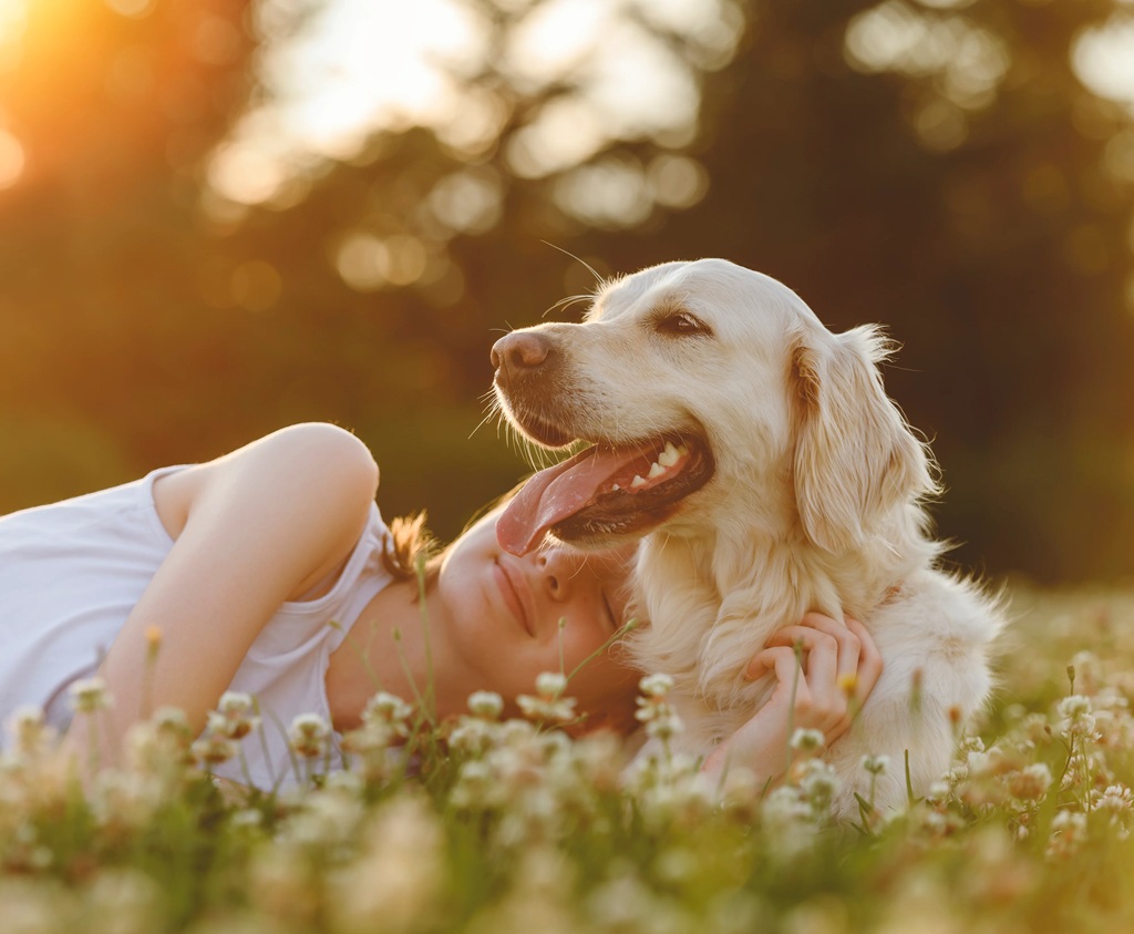 Finding Comfort: The Compassionate Process of Choosing a Cremation Urns for Pet