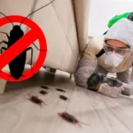 How Pest Control Companies in Dubai Use Eco-Friendly Solutions